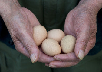 Guinea Eggs